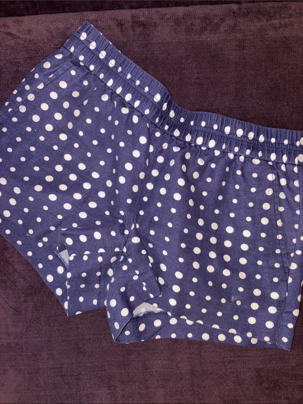J. Crew Navy Blue Polka Dot Women’s Shorts